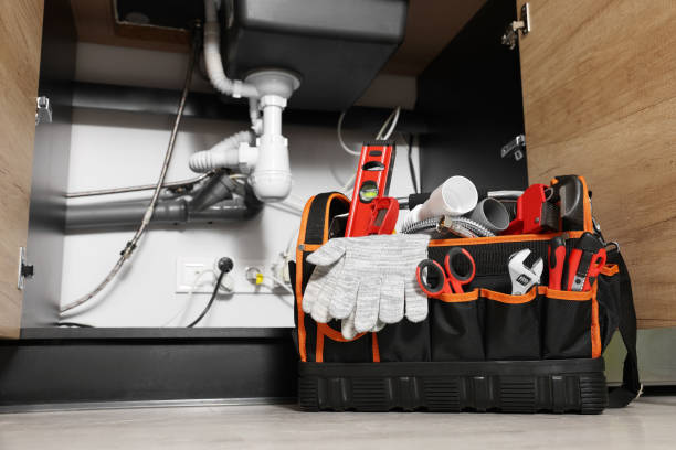 Best Clogged Drain Plumber  in Flossmoor, IL