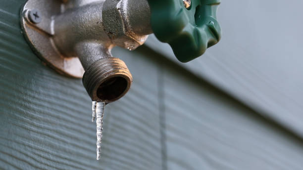 Best Clogged Drain Plumber  in Flossmoor, IL